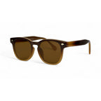 SunRoam Bold Brown Sunglasses Shades