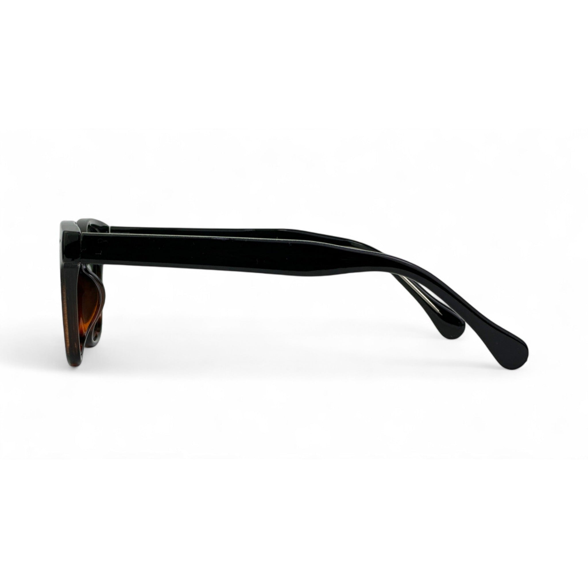 SunRoam Bold Black & Brown Sunglasses Shades