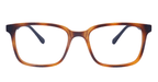 Gratus Glasses - Tiger Print front side