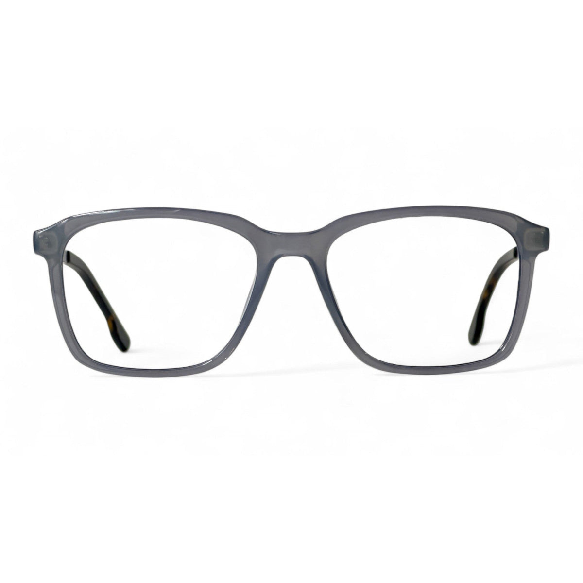Ternil Gray Rectangle Eyeglasses front view