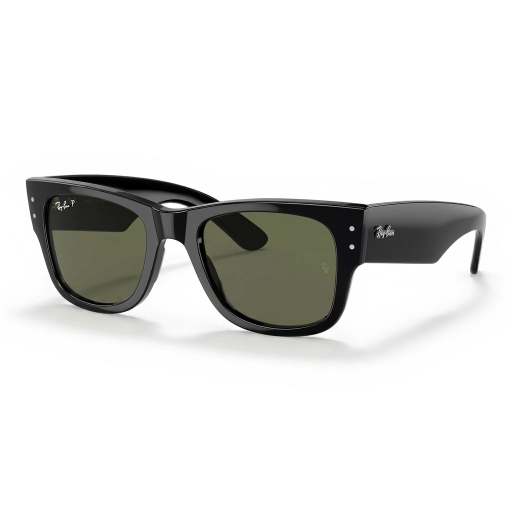 Brox Black Wayfarer Sunglasses